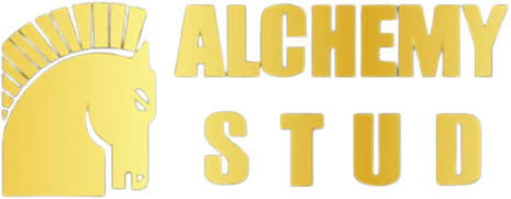 Alchemy Stud