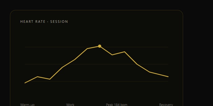 EquineVerse heart-rate session chart showing warm-up, work, peak and recovery