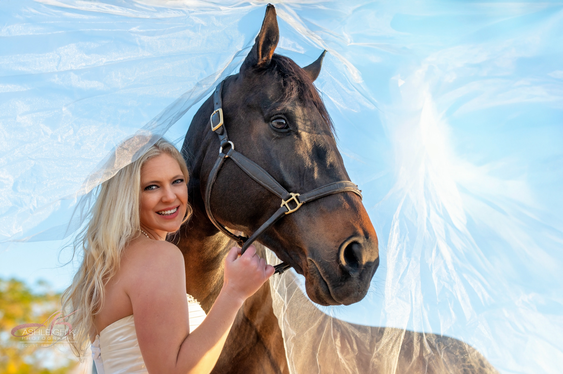 Kim Kumar with Double Rainbow, Founder & Head of Product at EquineVerse