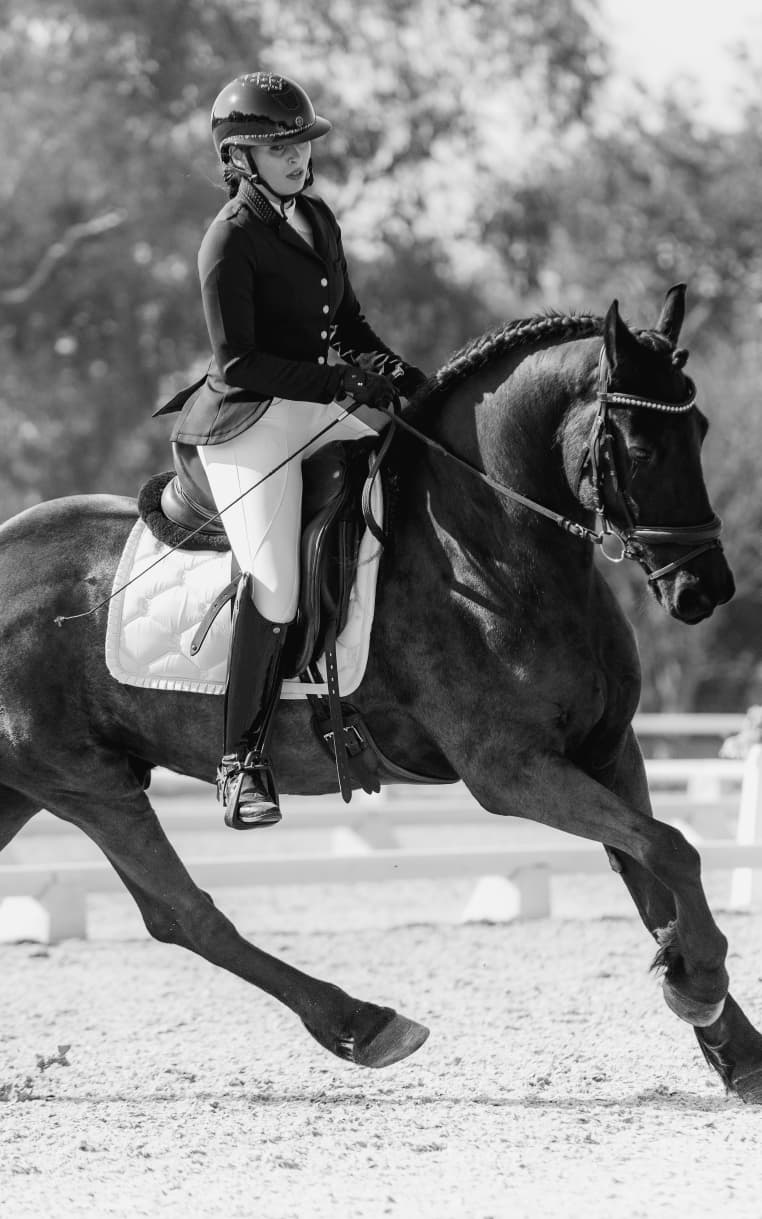 Dressage rider working her horse in the arena